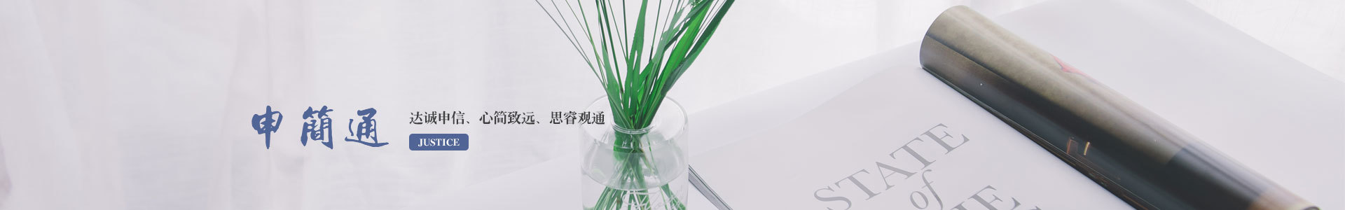 业务领域