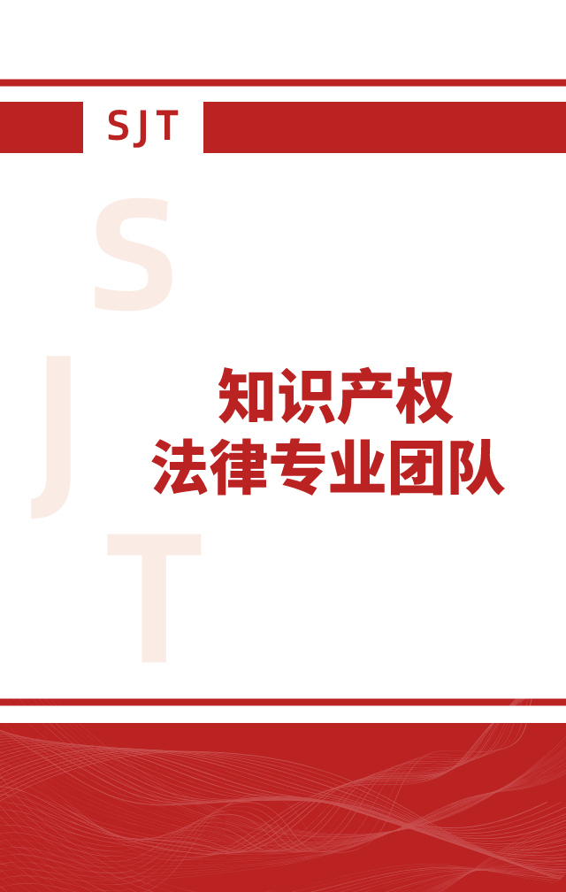专业团队